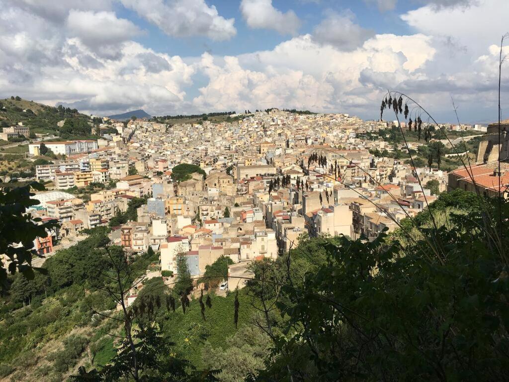 شقة La Domus Di Segesta كالاتافيمي المظهر الخارجي الصورة